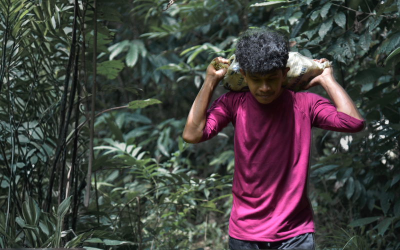 Yang Pernah Jatuh Akan Berdiri Lagi